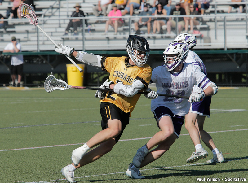 hamb vs hfl