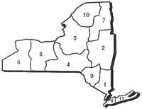 nys map